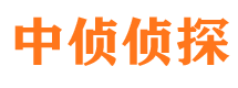 平果市私家侦探